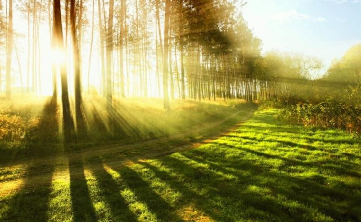 Погода 2 июля 2020 в Украине: какую погоду обещает синоптик Погода 2 июля 2020 в Украине: какую погоду обещает синоптик