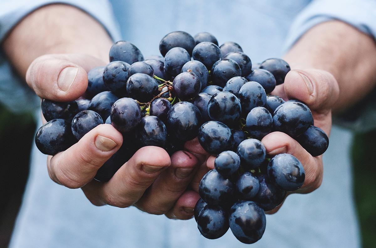 В Україні відзначатимуть День виноградаря і винороба 