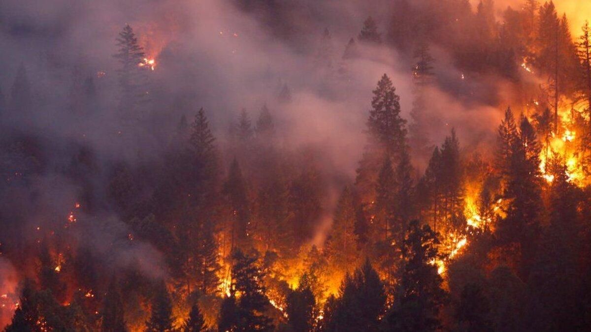 Пожежа в Сибіру: російська влада відмовляється гасити лісові займання