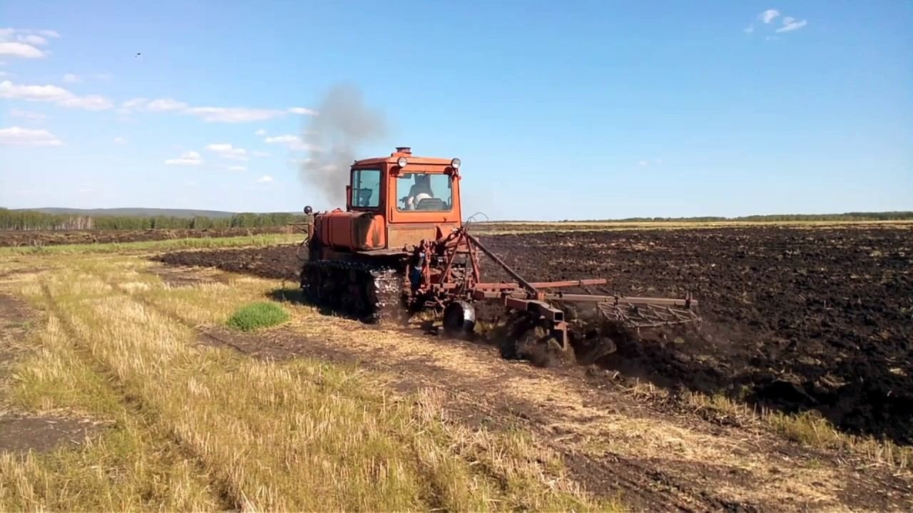 Первые жертвы адской жары на Херсонщине: умерли двое людей, которые работали на полях Первые жертвы адской жары на Херсонщине: умерли двое людей, которые работали на полях
