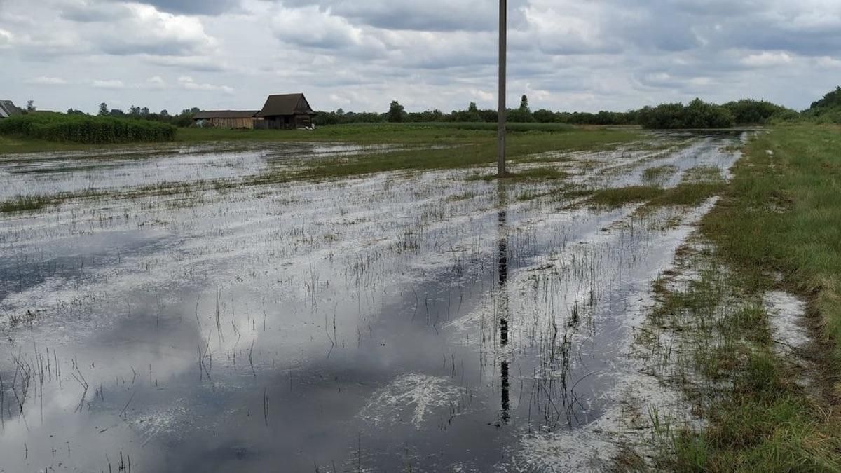 Паводок на Волині 7 липня 2020: що відомо, фото