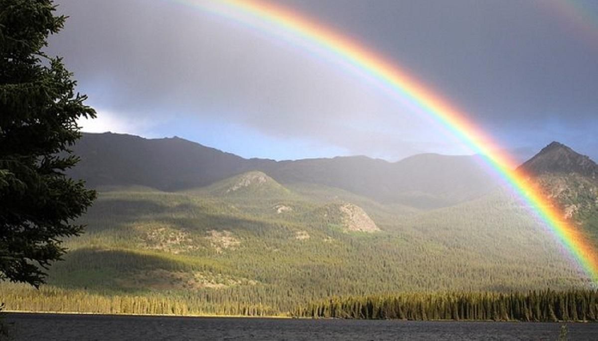 Погода 8 июля 2020 в Украине: какую погоду обещает синоптик Погода 8 июля 2020 в Украине: какую погоду обещает синоптик