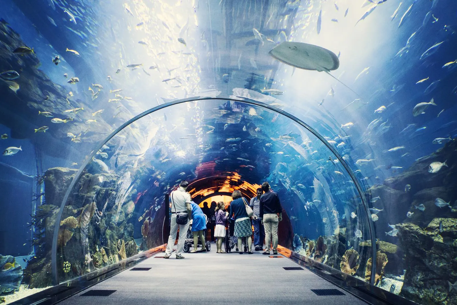 Найкрасивіший океанаріум в Дубаях