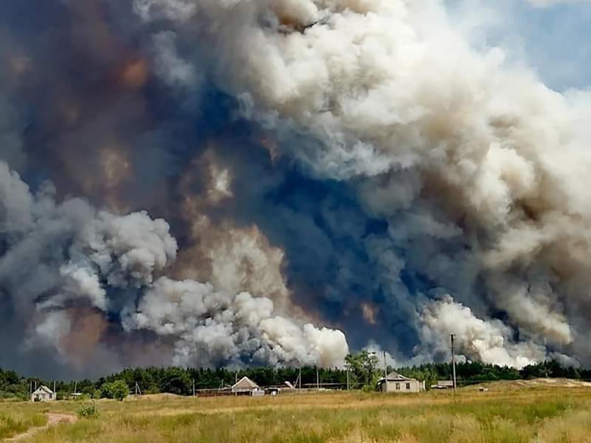 Лесной пожар в Луганской области 7 июля 2020: фото, видео