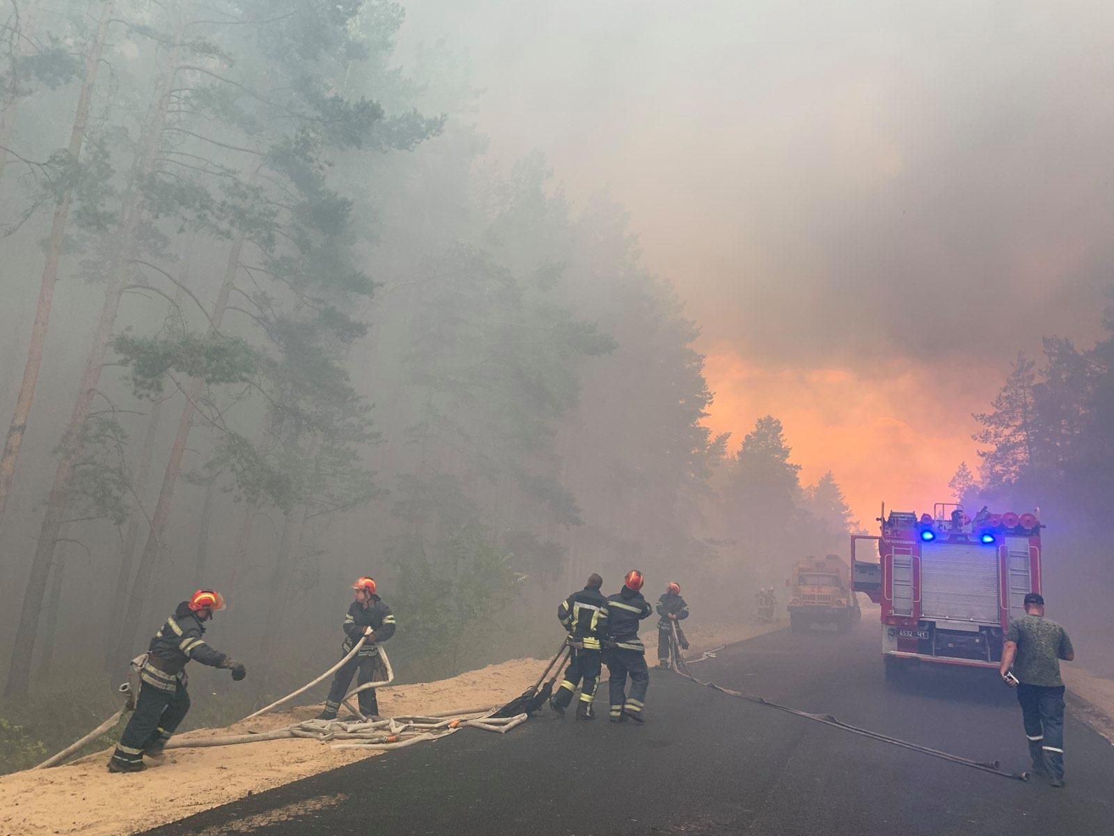 Лісова пожежа на Луганщині: є жертви - фото