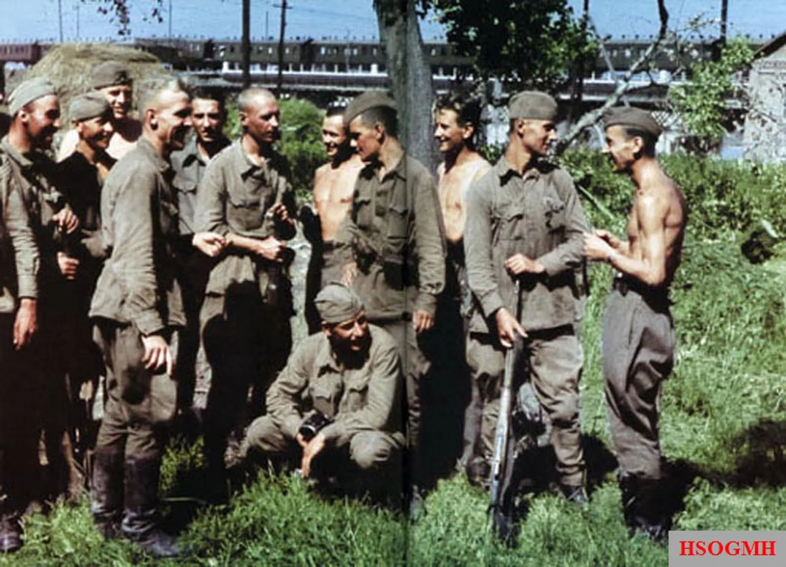 Бранденбург-800 Бранденбург-800