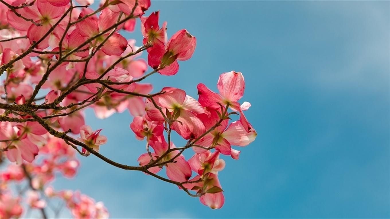 Погода 9 липня 2020 в Україні: яку погоду обіцяє синоптик Погода 9 липня 2020 в Україні: яку погоду обіцяє синоптик