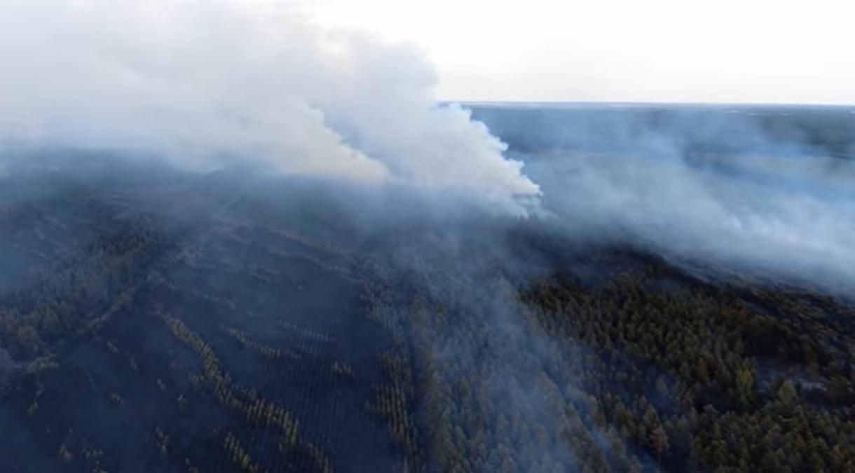 Наслідки пожеж в Луганській області показали з висоти пташиного польоту