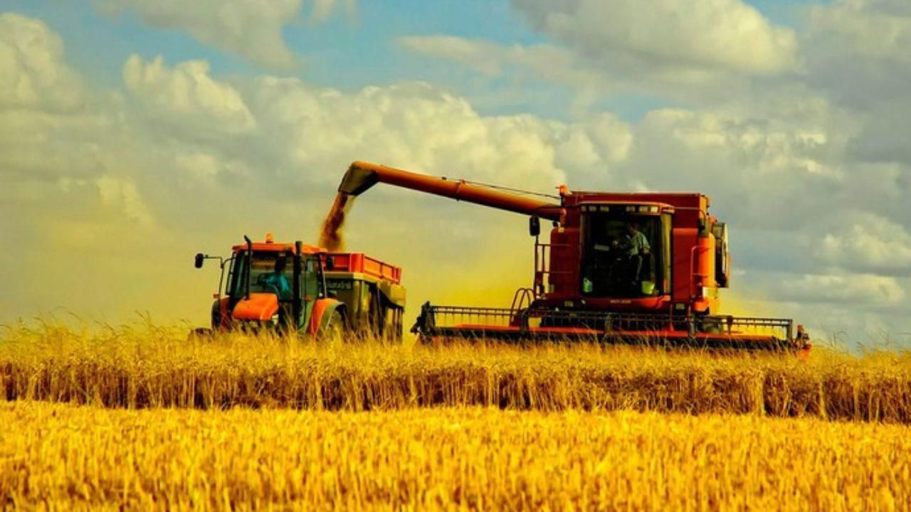 Прем'єр-міністри на тіньовій стороні: чому Шмигаль і Гройсман проти 3131 Прем'єр-міністри на тіньовій стороні: чому Шмигаль і Гройсман проти 3131