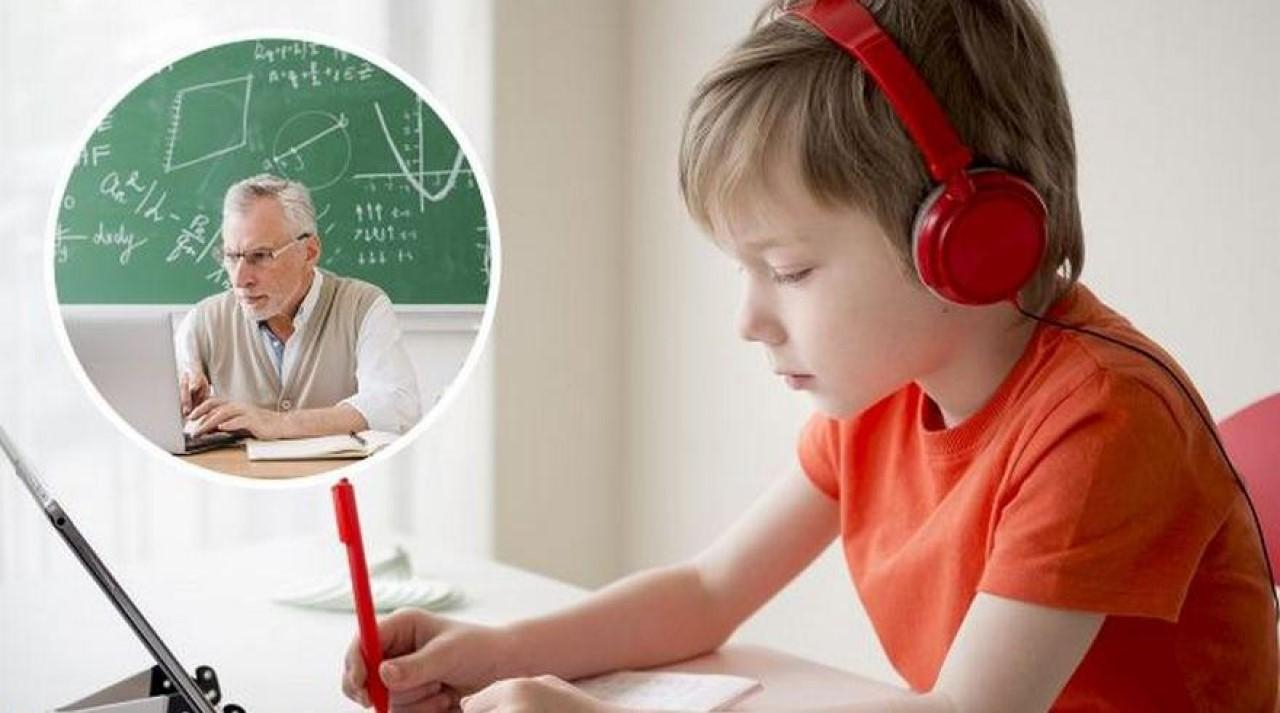 Плюси і мінуси дистанційного навчання в школах