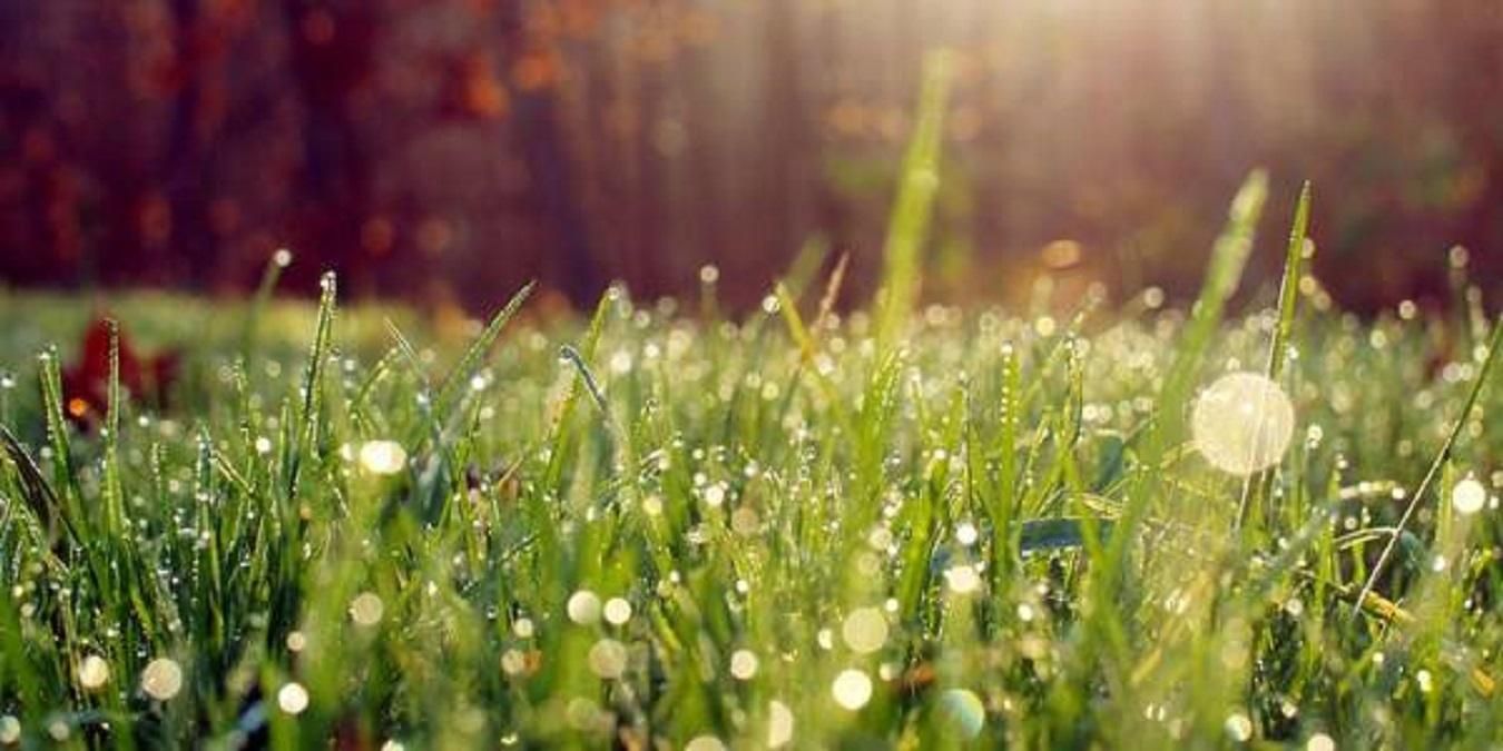 Погода 13 июля 2020 в Украине: какую погоду обещает синоптик Погода 13 июля 2020 в Украине: какую погоду обещает синоптик