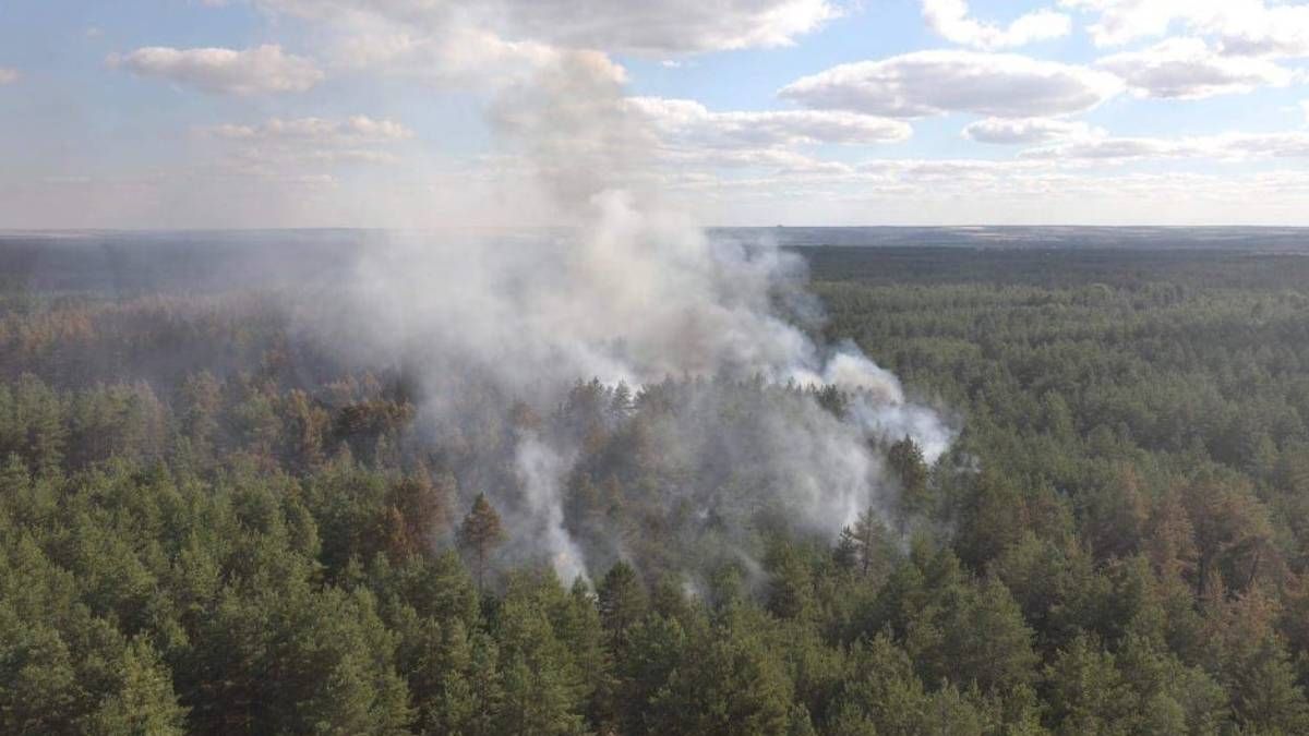 Пожары в Луганской области видно из космоса: фото со спутника Пожары в Луганской области видно из космоса: фото со спутника