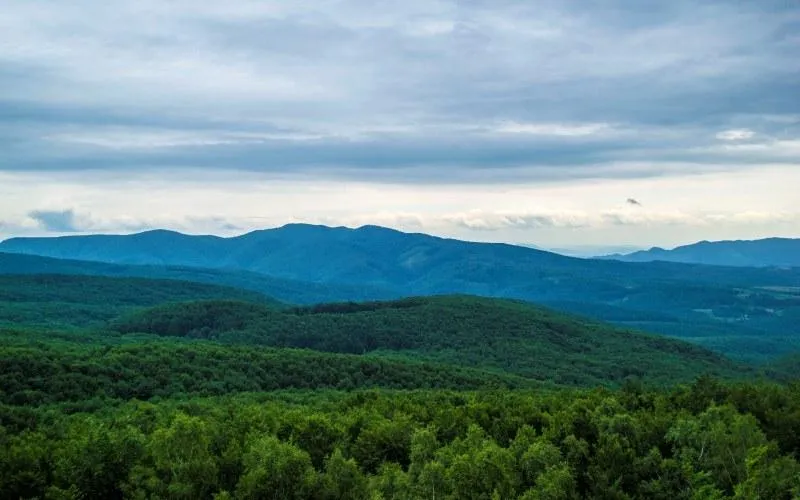 Гора Бужора Гора Бужора