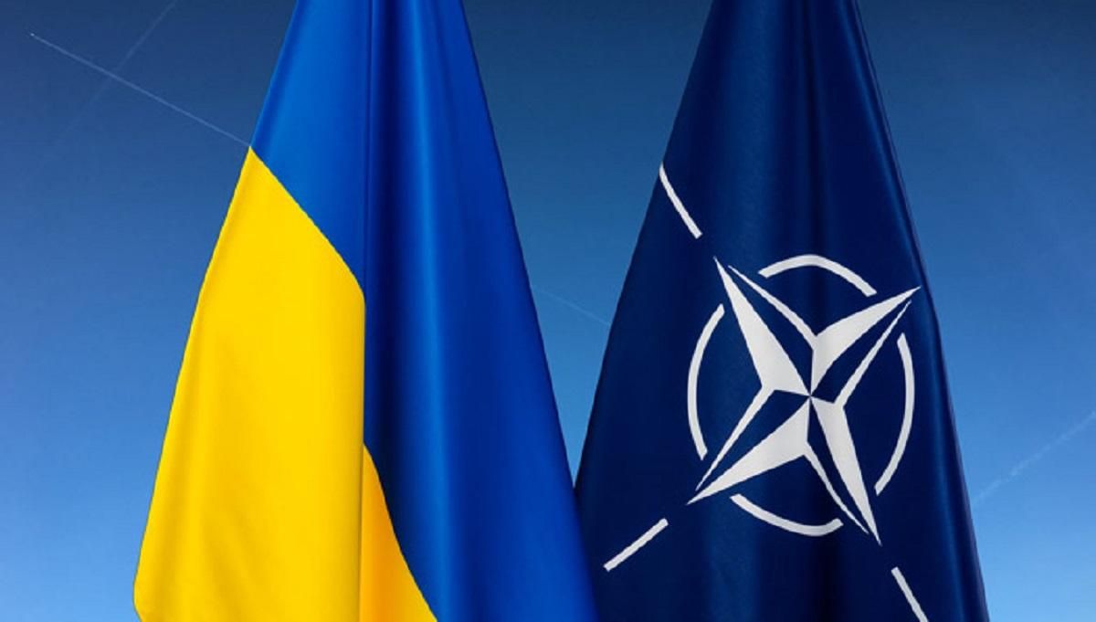 В США хотят, чтобы Украина немедленно стала членом НАТО