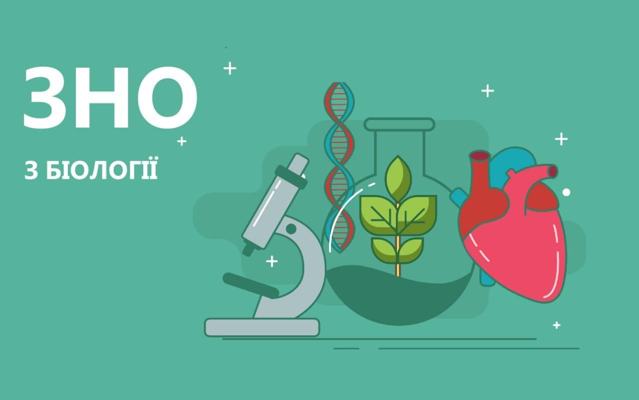 ВНО 2020 биология: правильные ответы тестов ВНО 2020 биология: правильные ответы тестов
