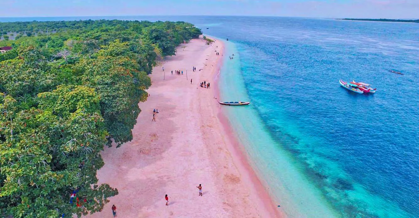 Рожевий піщаний пляж на острові Порт