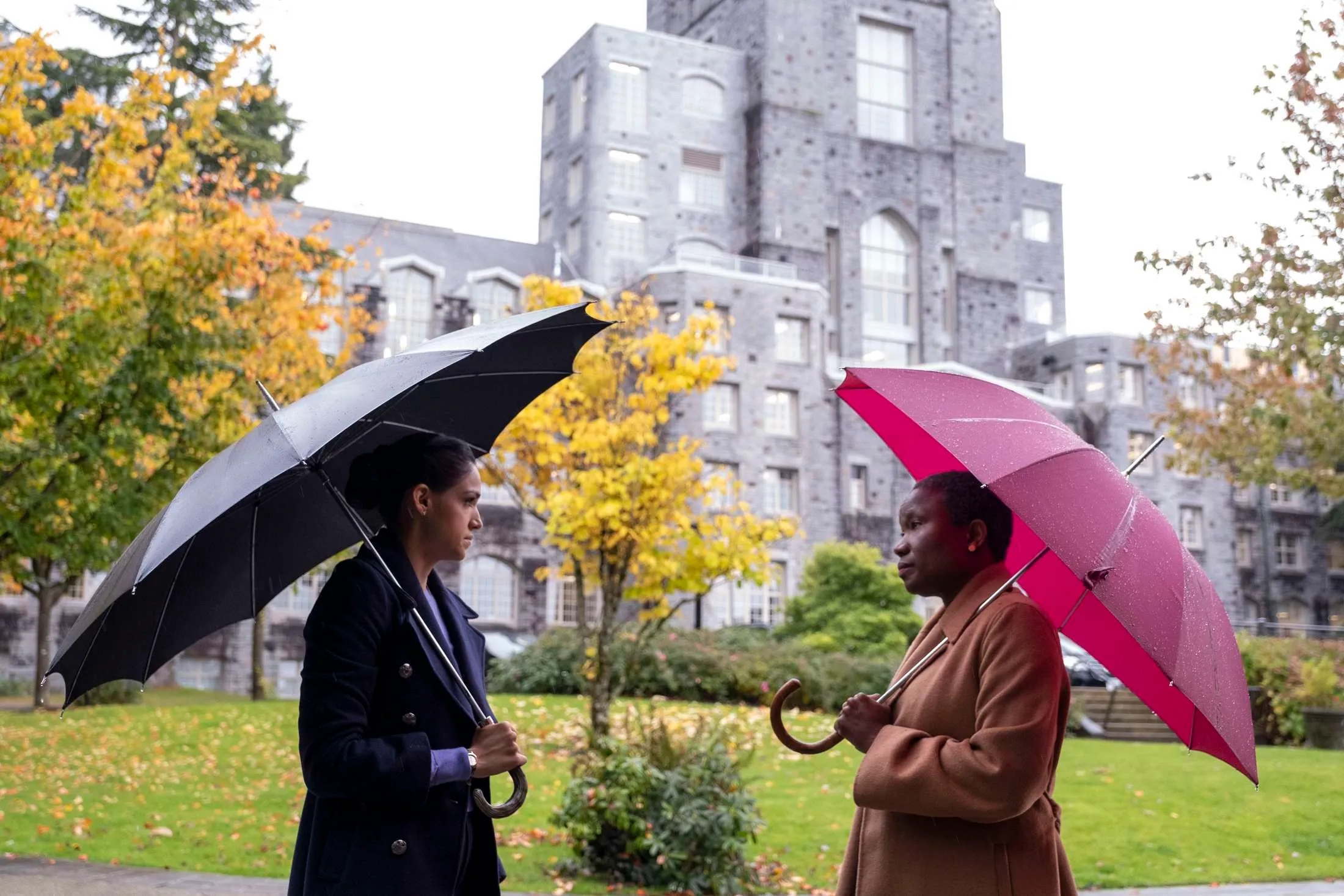 Серіал Серіал