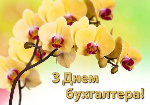 Картинки з Днем бухгалтера Картинки з Днем бухгалтера