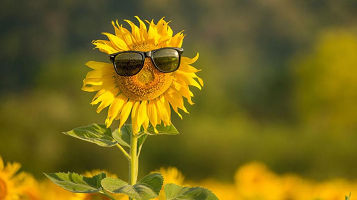 Погода 17 июля 2020 в Украине: какую погоду обещает синоптик Погода 17 июля 2020 в Украине: какую погоду обещает синоптик