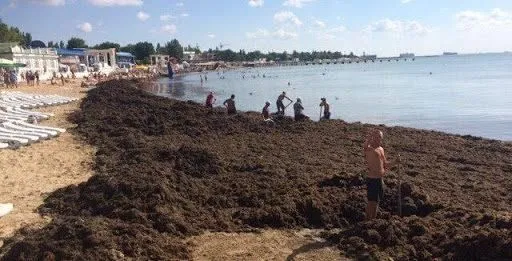 пляжі крим пляжі крим