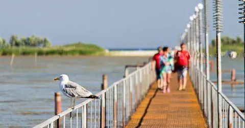 Катранка Катранка