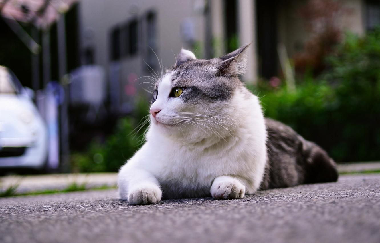 Погода 18 июля 2020 в Украине: какую погоду обещает синоптик Погода 18 июля 2020 в Украине: какую погоду обещает синоптик