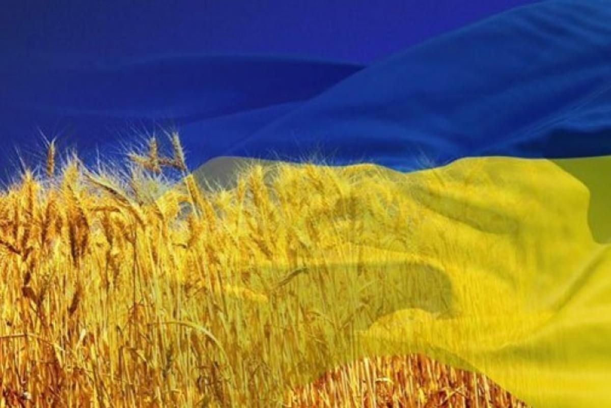 Новий адмінподіл України: які райони з'явилися – повний список, карта