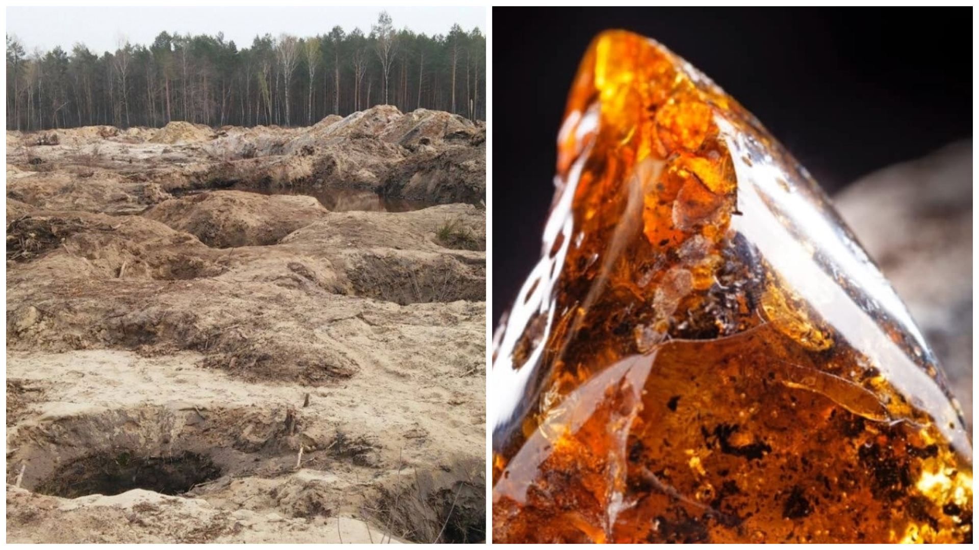 Разрешение на добычу янтаря продали на аукционе – впервые в Украине Разрешение на добычу янтаря продали на аукционе – впервые в Украине