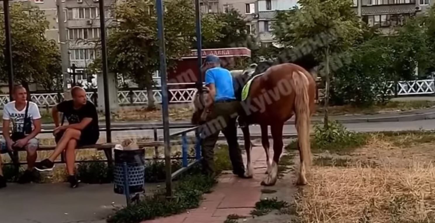 В магазин за бутылкой на лошади: в Киеве снова заметили пьяного всадника