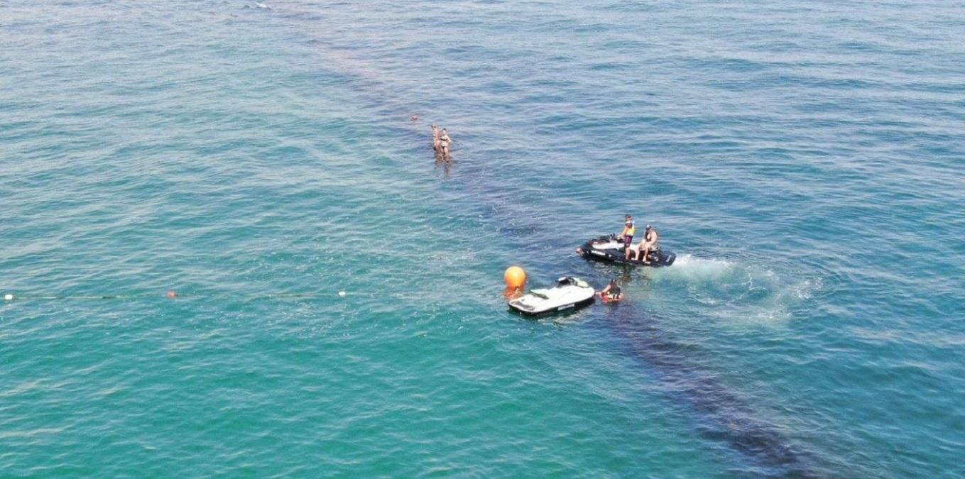 В Одессе спасли дельфинов, которые "заблудились" в акватории городского пляжа: видео
