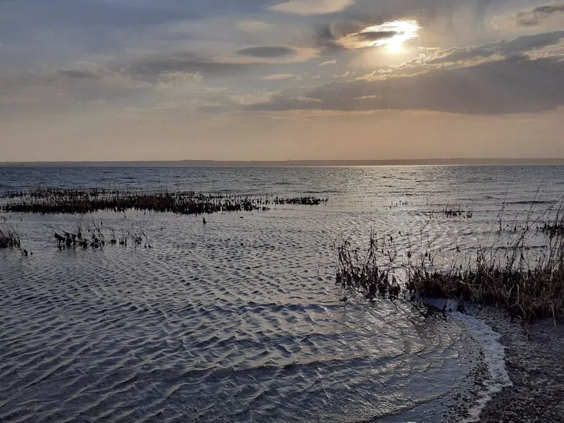 Тилігульський лиман Коблеве Тилігульський лиман Коблеве