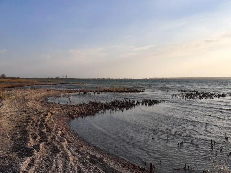 Тилігульський лиман Коблеве Тилігульський лиман Коблеве