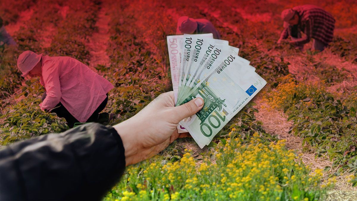 Чому українці шукають роботу за кордоном: інфографіка Чому українці шукають роботу за кордоном: інфографіка