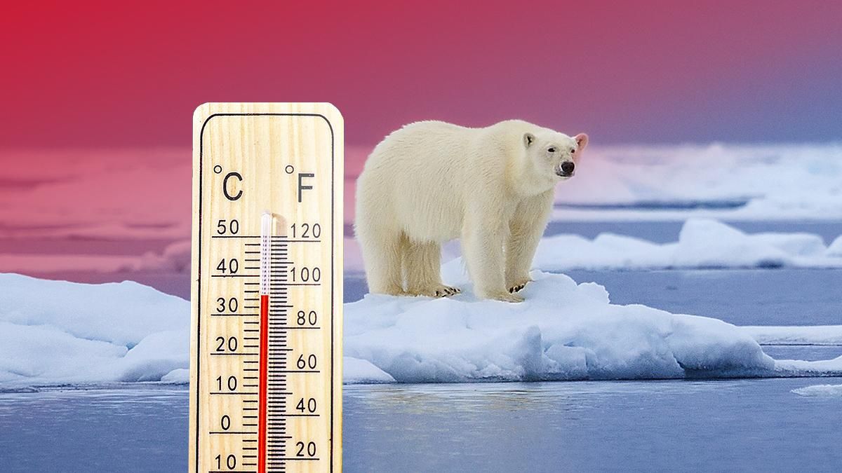 Фотодоказательство: изменение климата – это не шутки Фотодоказательство: изменение климата – это не шутки