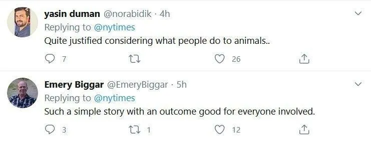 реакція реакція