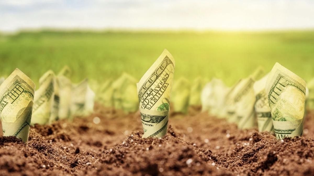 Украина должна урегулировать ситуацию со ставками налога на землю Украина должна урегулировать ситуацию со ставками налога на землю