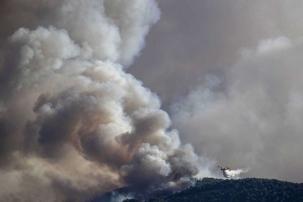 Лісові пожежі у Греції 22.07.2020: що відомо, фото