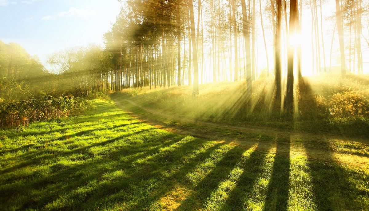 Погода 24 июля 2020 в Украине: какую погоду обещает синоптик Погода 24 июля 2020 в Украине: какую погоду обещает синоптик