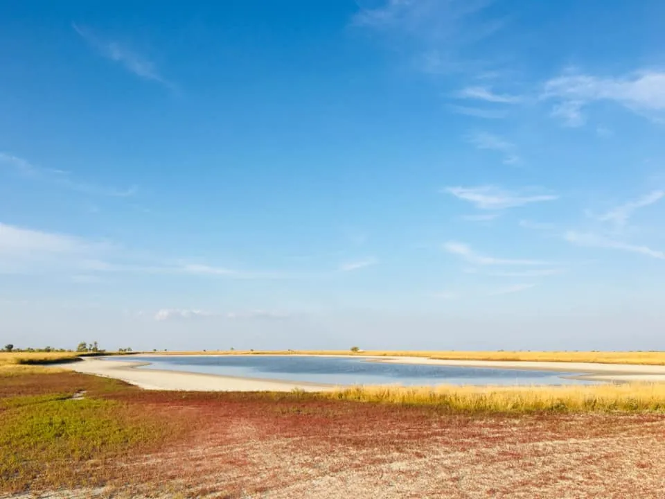 Природа Природа