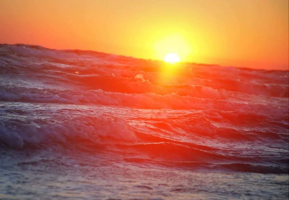 світанок світанок