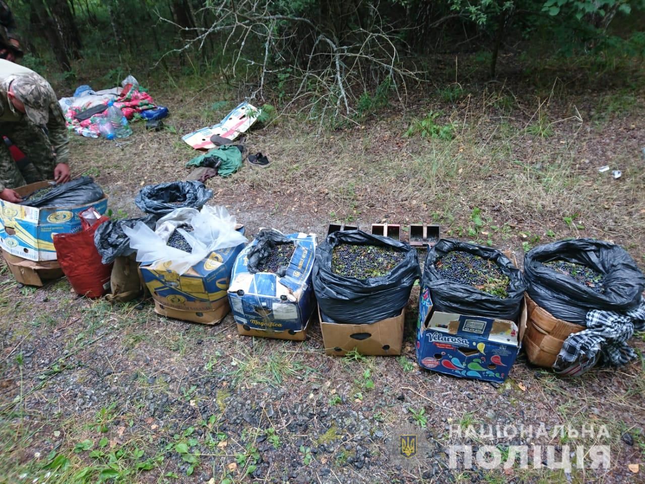 Радіоактивні гриби та чорниця: в Чорнобильській зоні знову спіймали порушників – фото