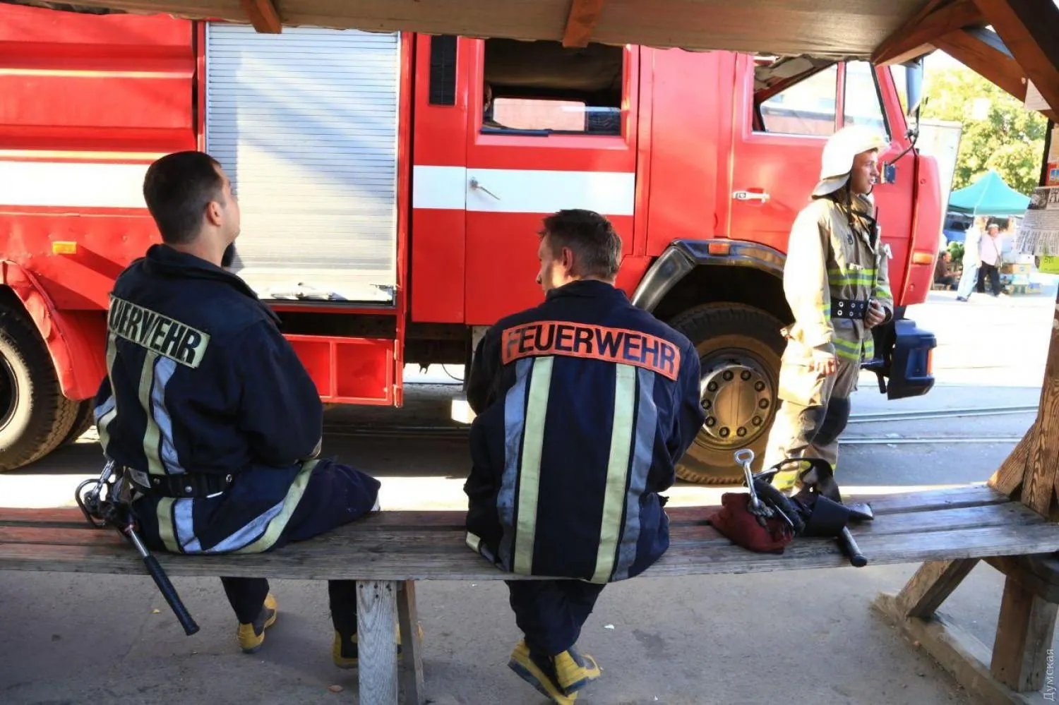 Одеса, зоопарк, втекли мавпи, операція, рятувальники Одеса, зоопарк, втекли мавпи, операція, рятувальники