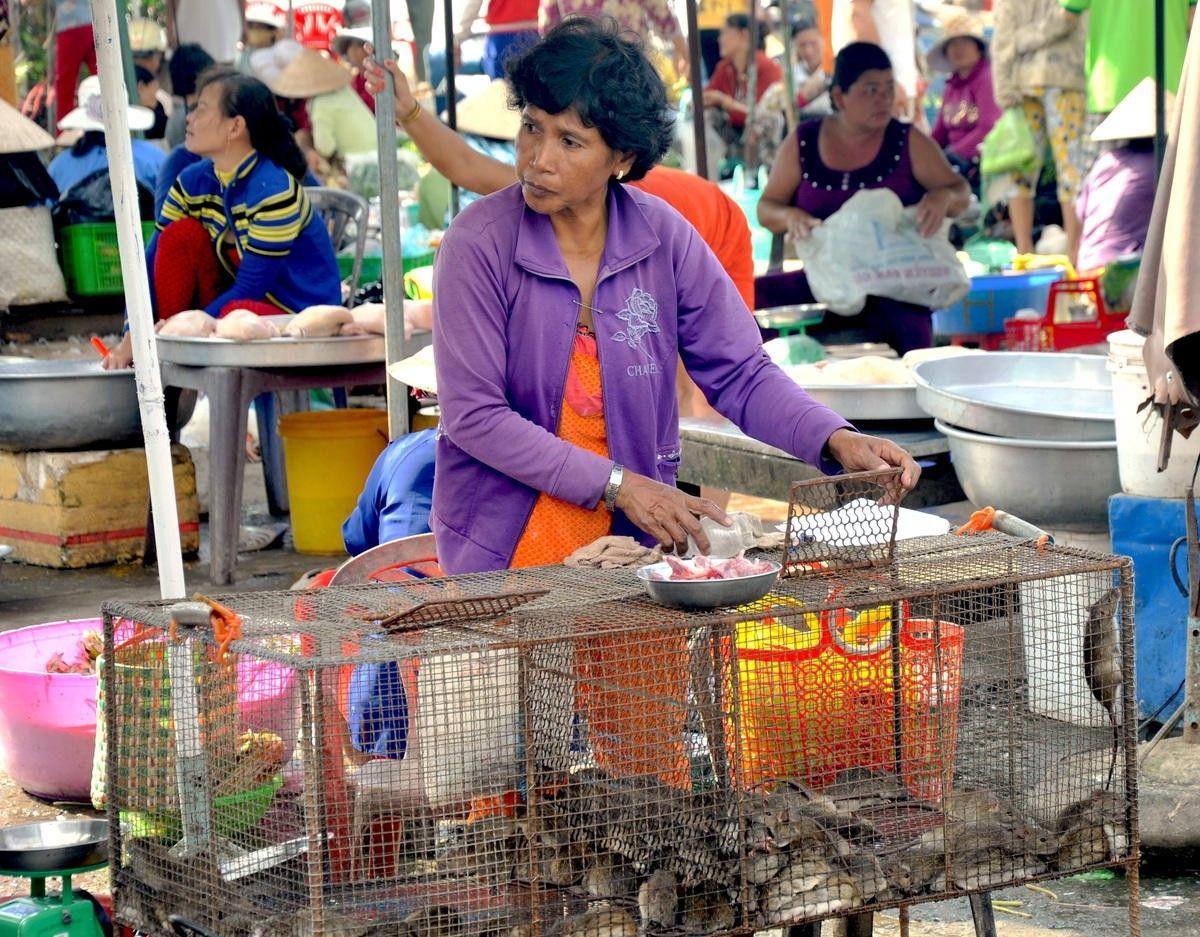 Профілактика епідемії: у В'єтнамі заборонили продаж диких тварин на гуртових ринках