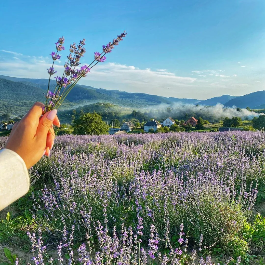 Леся Нікітюк Леся Нікітюк