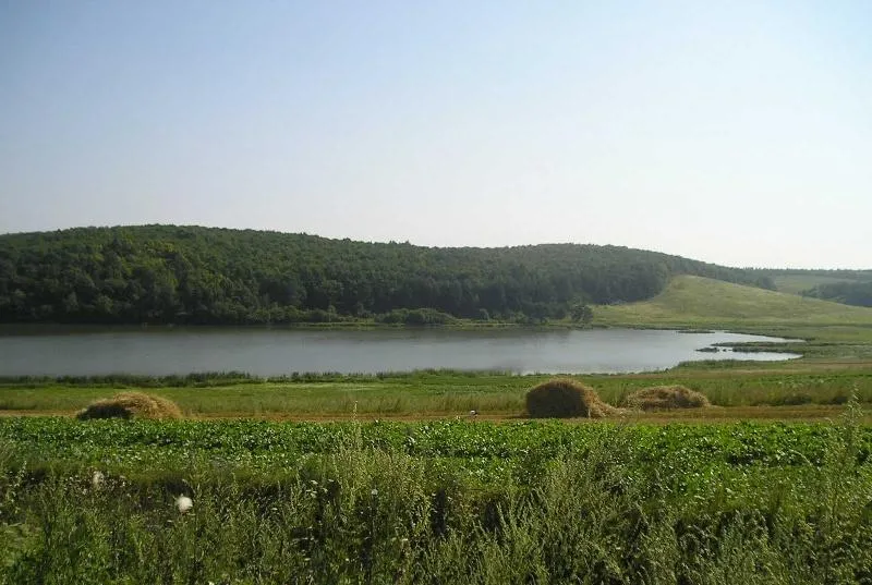 У Здолбунівському озері вода чиста У Здолбунівському озері вода чиста