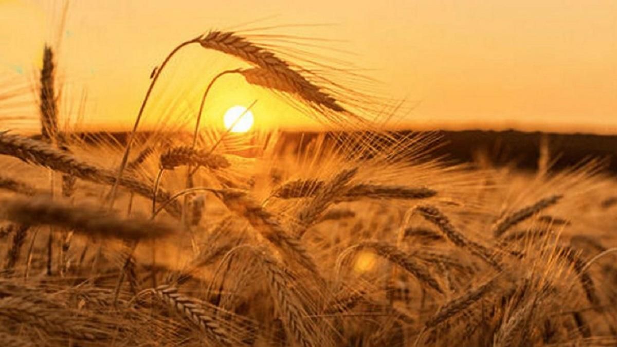 Какой будет августе 2020 в Украине: прогноз погоды синоптиков Какой будет августе 2020 в Украине: прогноз погоды синоптиков