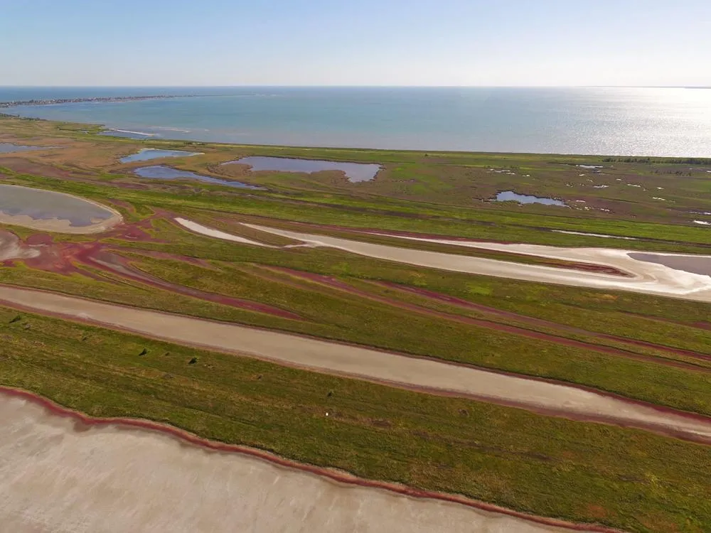 Урзуф Урзуф