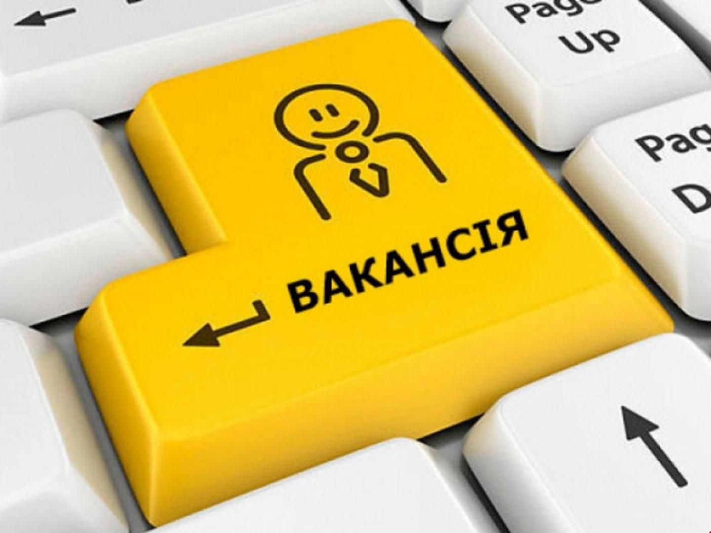 Найпопулярніші вакансії на тимчасову роботу 