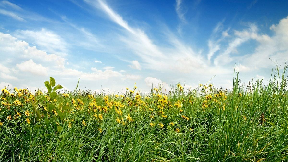 Погода 28 липня 2020 Україна: яку погоду обіцяє синоптик Погода 28 липня 2020 Україна: яку погоду обіцяє синоптик