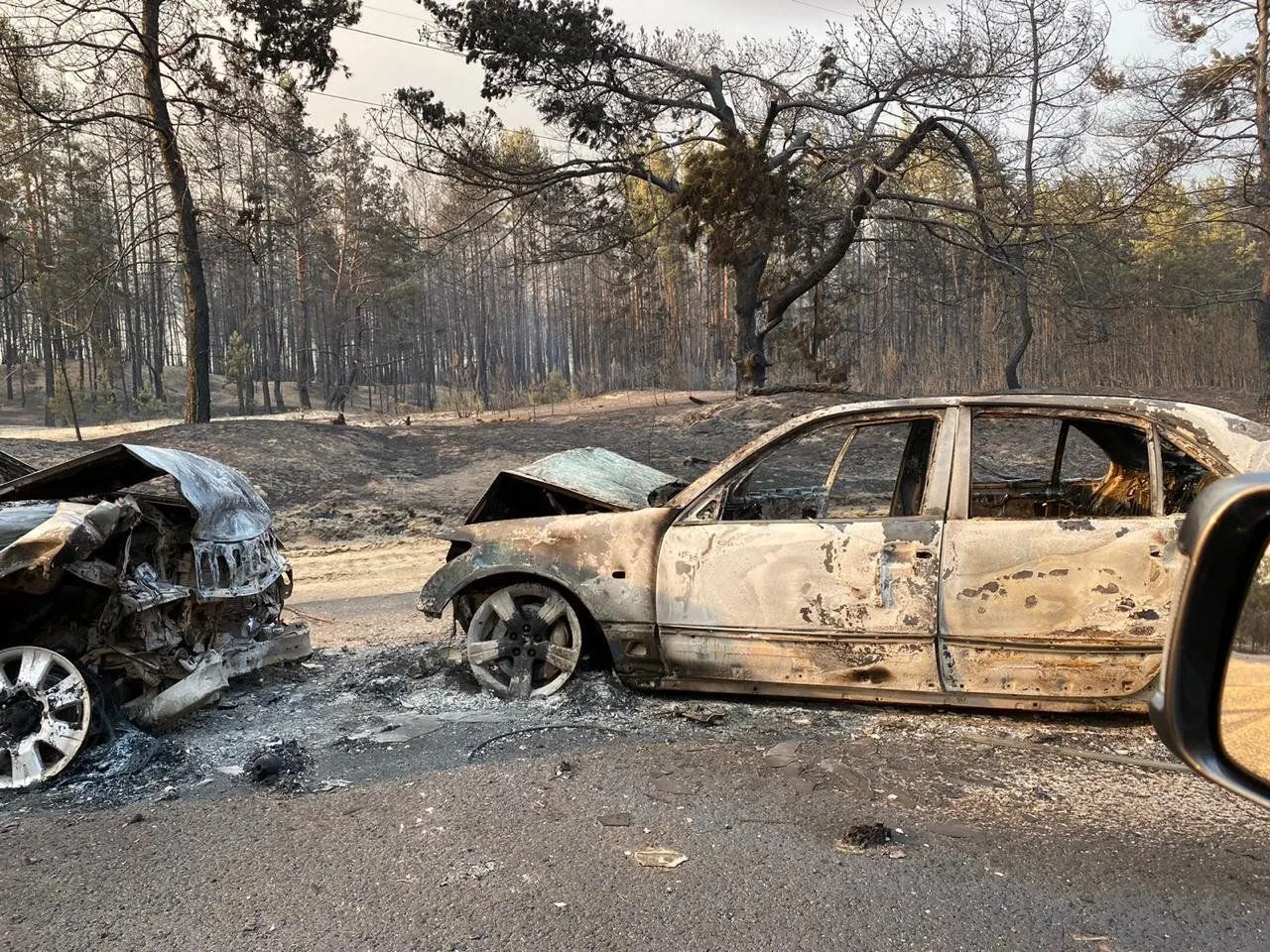 пожежі на луганщині ДСНС